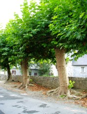 Dans le village de Pouzac