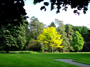 Parc de la Grange