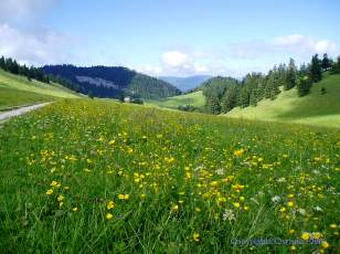 Autour du Suchet