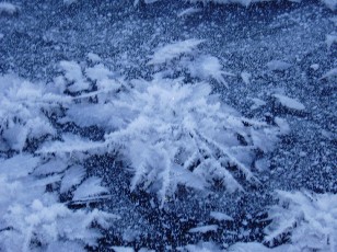 Le lac des Taillres en hiver