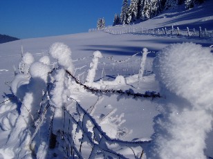 Le lac des Taillres en hiver