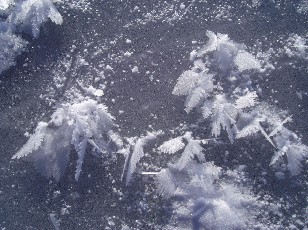 Le lac des Taillres en hiver