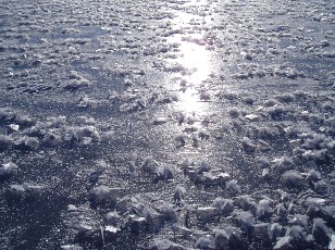 Le lac des Taillres en hiver