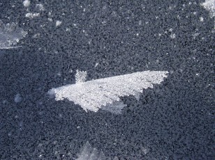 Le lac des Taillres en hiver