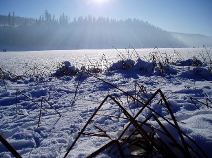 Le lac des Taillres en hiver