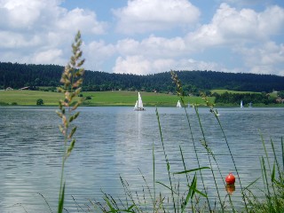 Gramines le long du lac Saint Point