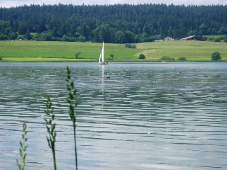 Gramines le long du lac Saint Point