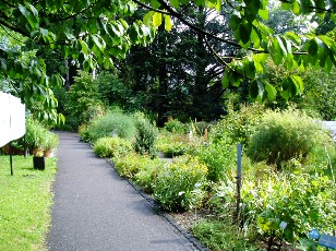 Jardin botanique au mois d'aot  Berne