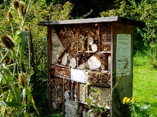 Jardin botanique au mois d'aot  Berne