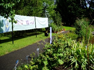 Jardin botanique au mois d'aot  Berne