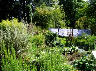 Jardin botanique au mois d'aot  Berne