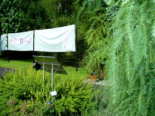 Jardin botanique au mois d'aot  Berne