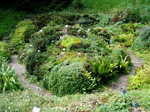 Jardin botanique au mois d'aot  Berne