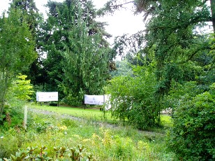 Jardin botanique au mois d'aot  Berne