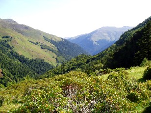 Montagnes aux alentours du lac