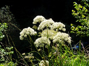 Magie et Beaut de la Nature