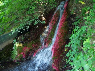 L'arrive de l'eau et sa mousse toute rouge...